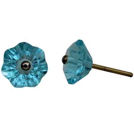 Light Blue Floral Knob
