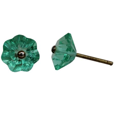 Floral Mint Color  Knob