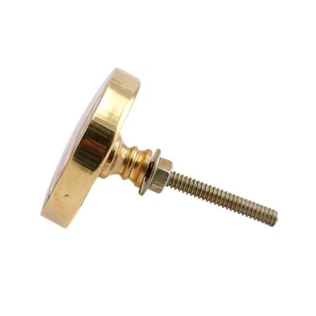 Round Brown Metal and Bone Knob