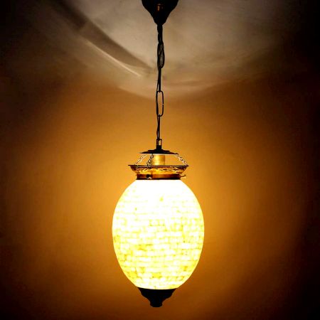 Shell Oval Shape Glass Ceiling Lamps