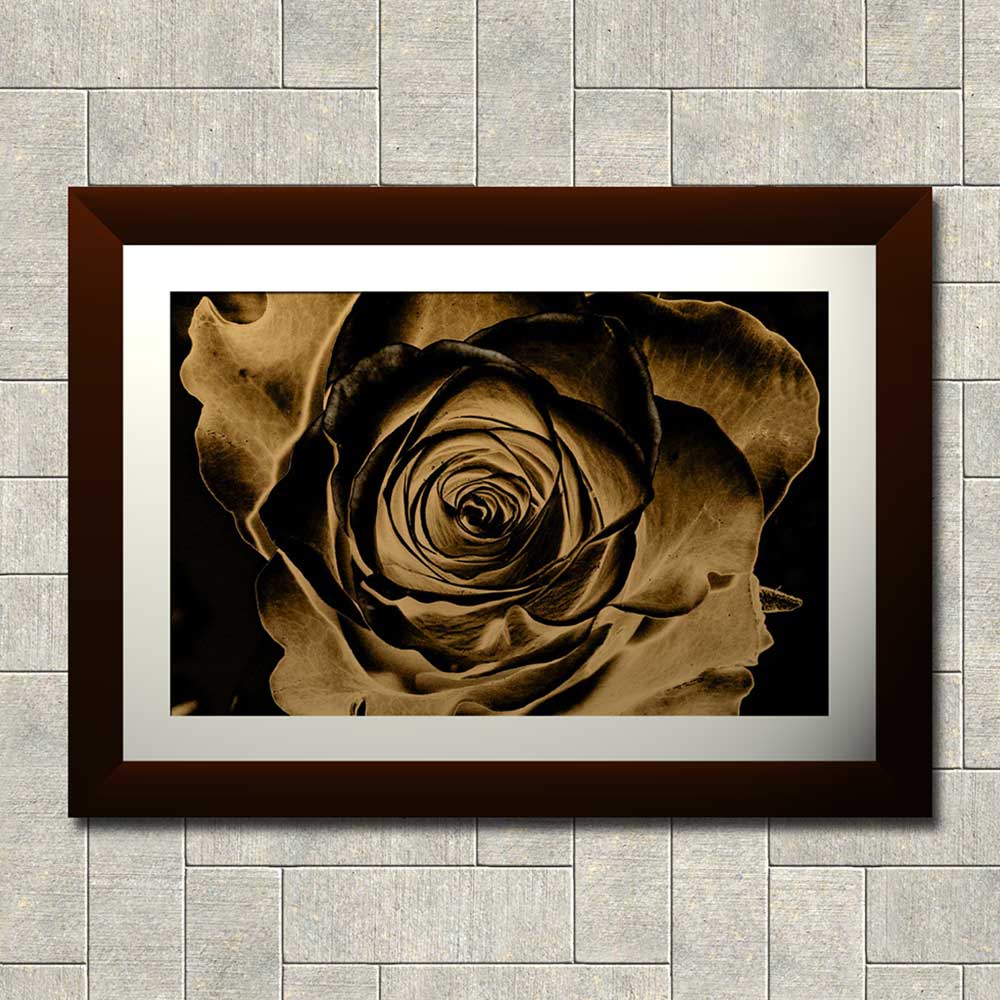 19++ Most Framed rose wall art images info