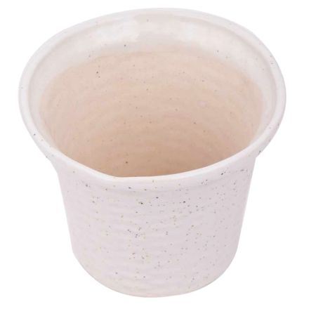 White Ceramic Pot For Indoor Plants