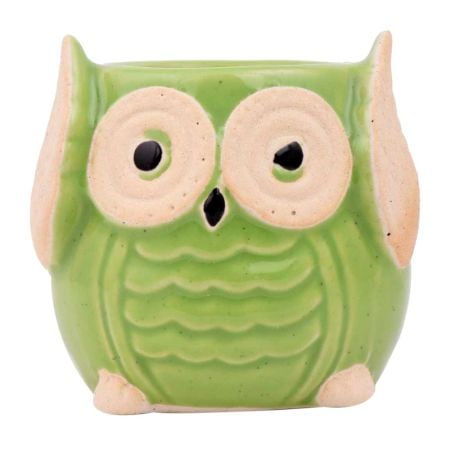 Cute Green Owl Ceramic Pot Planter