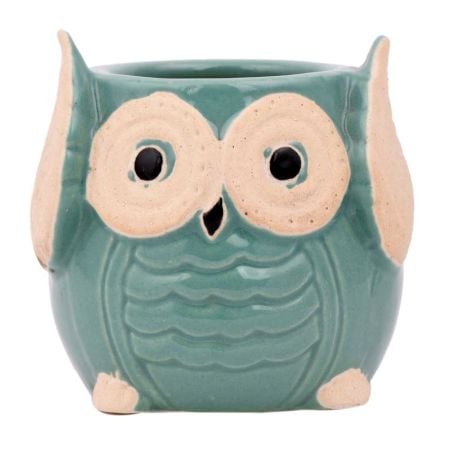Teal Blue Painted Owl Ceramic Pot Planter