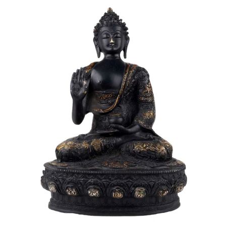 Handmade Black Brass Buddha Medicine Statue And Blessing  Pose