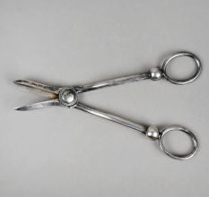 Handcrafted Silver Grape Shears Classic Fruit Scissors