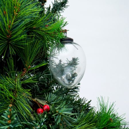 Clear Vintage Avocado Glass Christmas Ornament