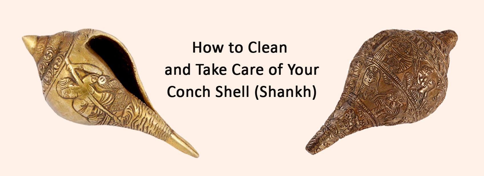 How to Clean and Take Care of Your Conch Shell (Shankh)